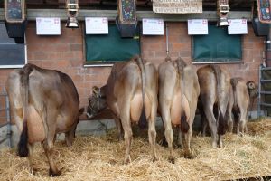 Piora Kunz Josef Wilen